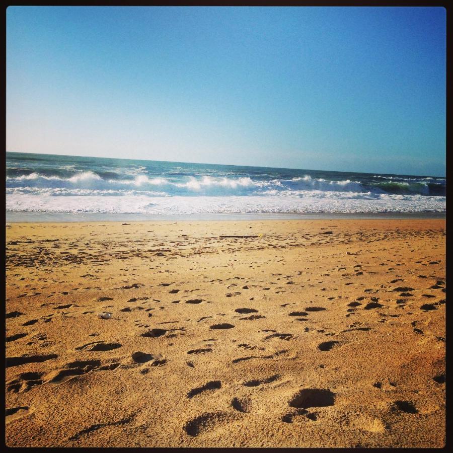 Studio Entre Lac Et Ocean A Hossegor سورت-هوسيغور المظهر الخارجي الصورة